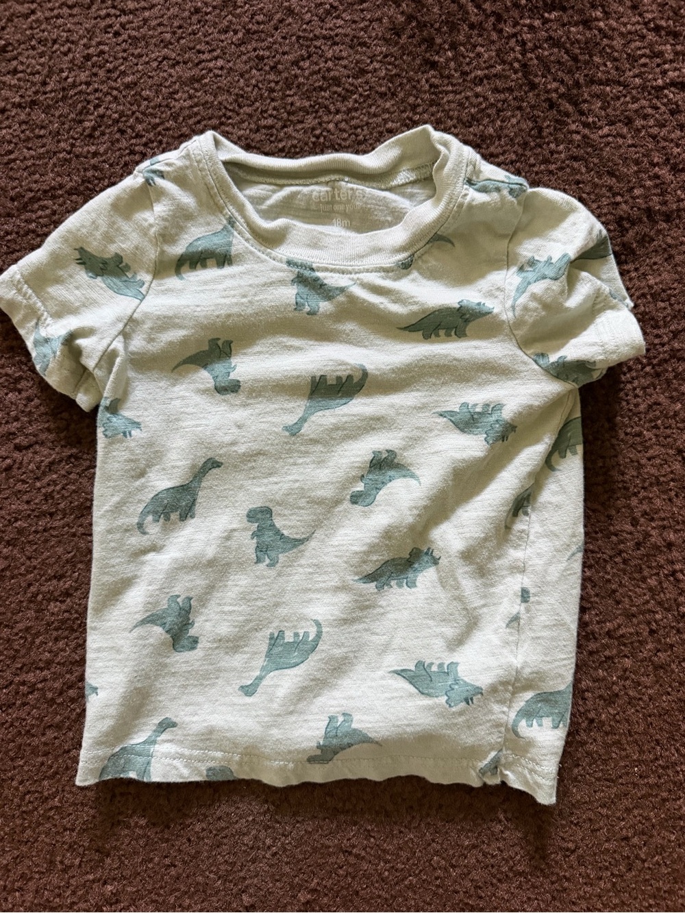 Carter's Light Green Tee with Teal Dinosaur Print